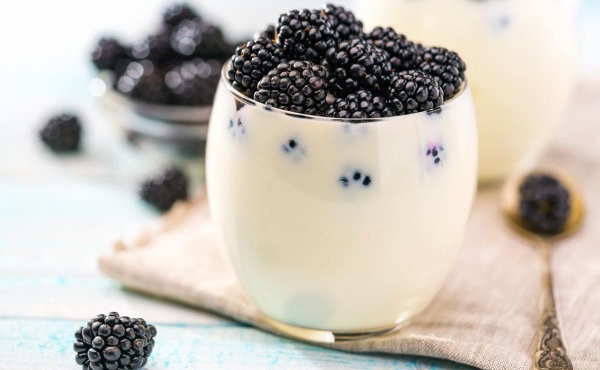 Yogur Griego con Frutos